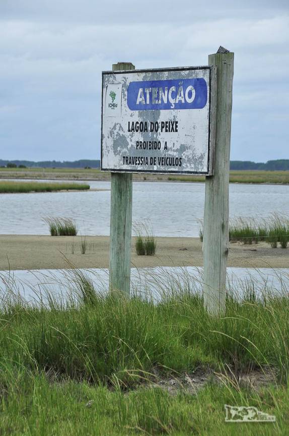 Parque Nacional da Lagoa do Peixe, no sul do Rio Grande do Sul, entre a Lagoa dos Patos e o Oceano Atlântico